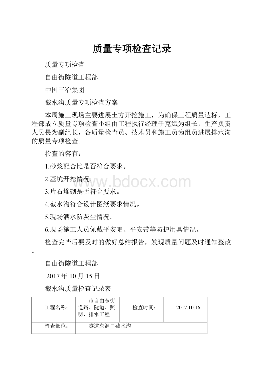 质量专项检查记录.docx