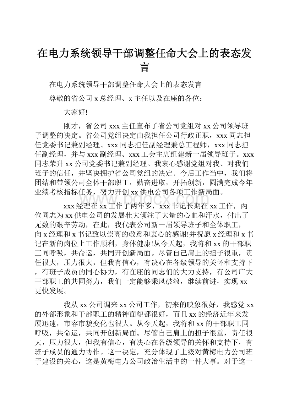 在电力系统领导干部调整任命大会上的表态发言.docx