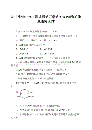 高中生物必修1测试题第五章第2节+细胞的能量通货ATP.docx