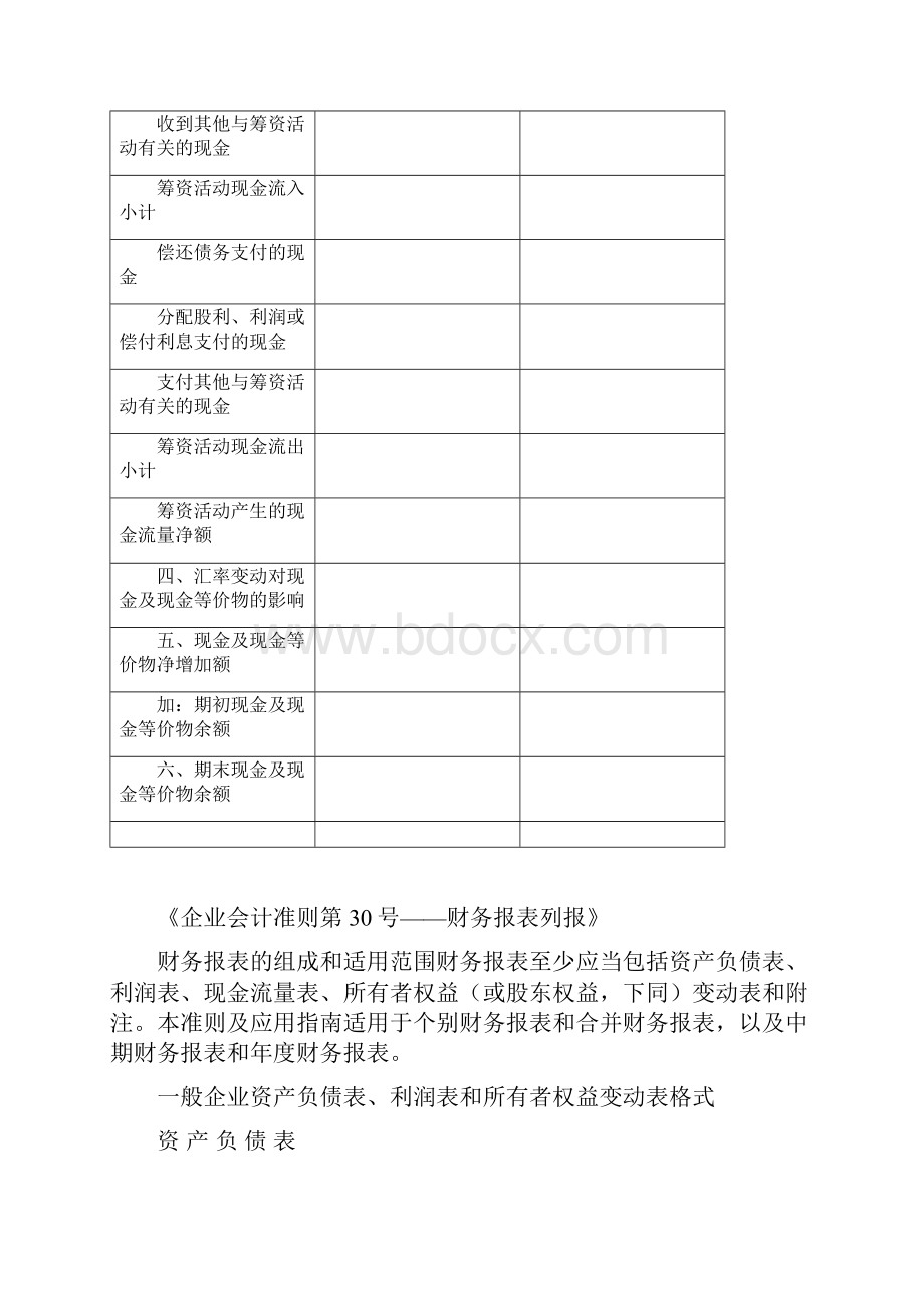 现金流量表格式.docx_第3页