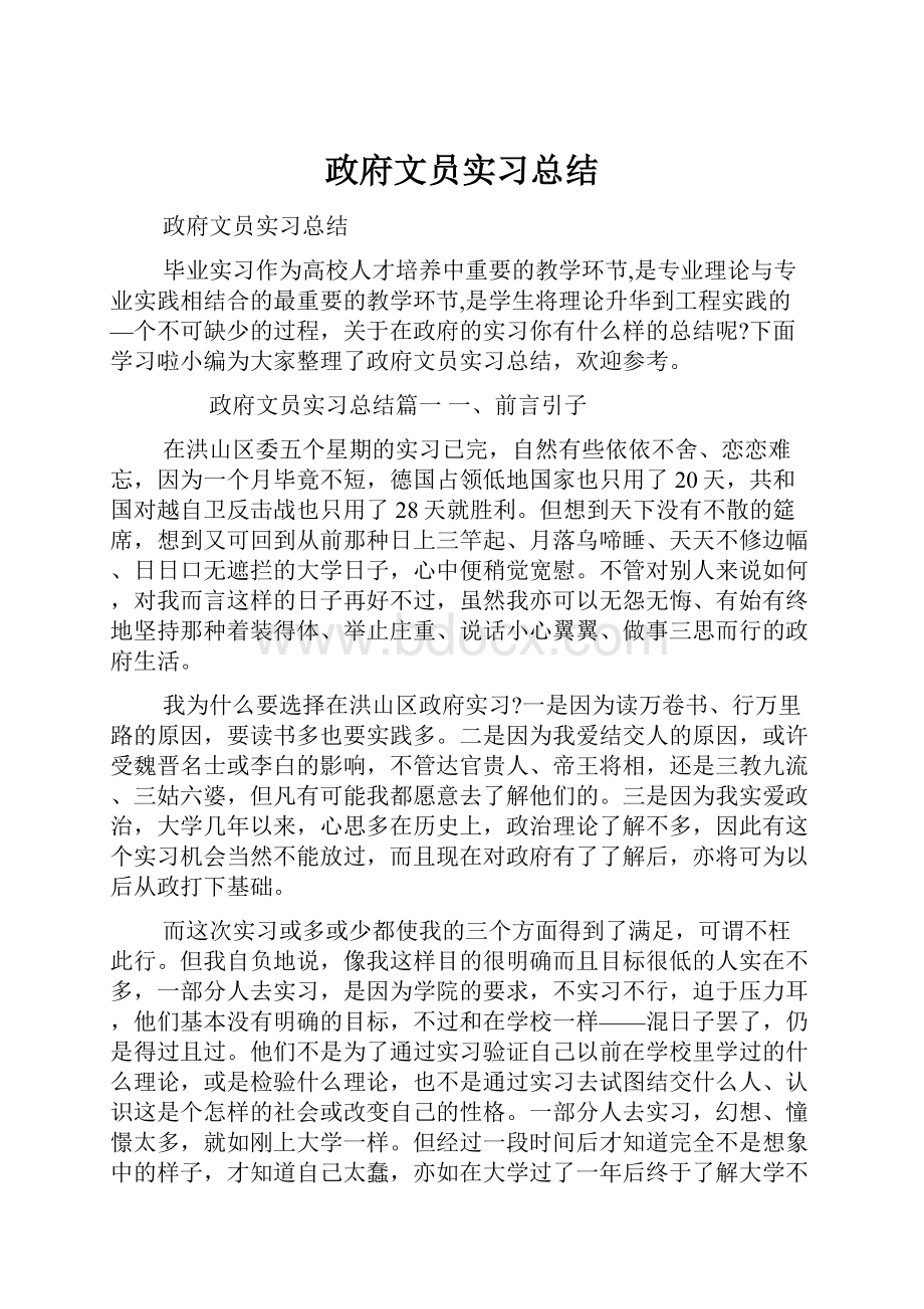 政府文员实习总结.docx