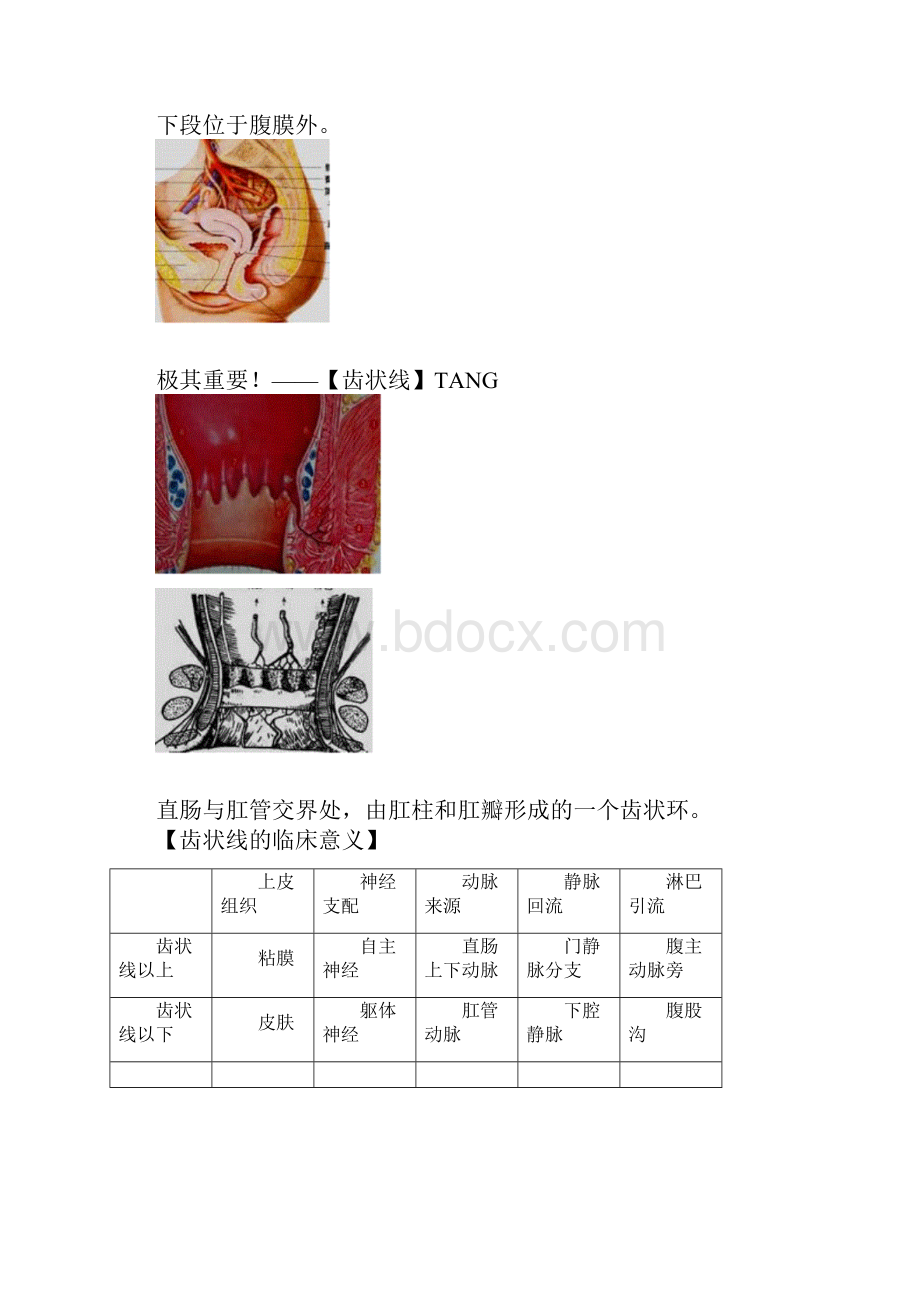 直肠肛管疾病病人的护理 精华版.docx_第2页