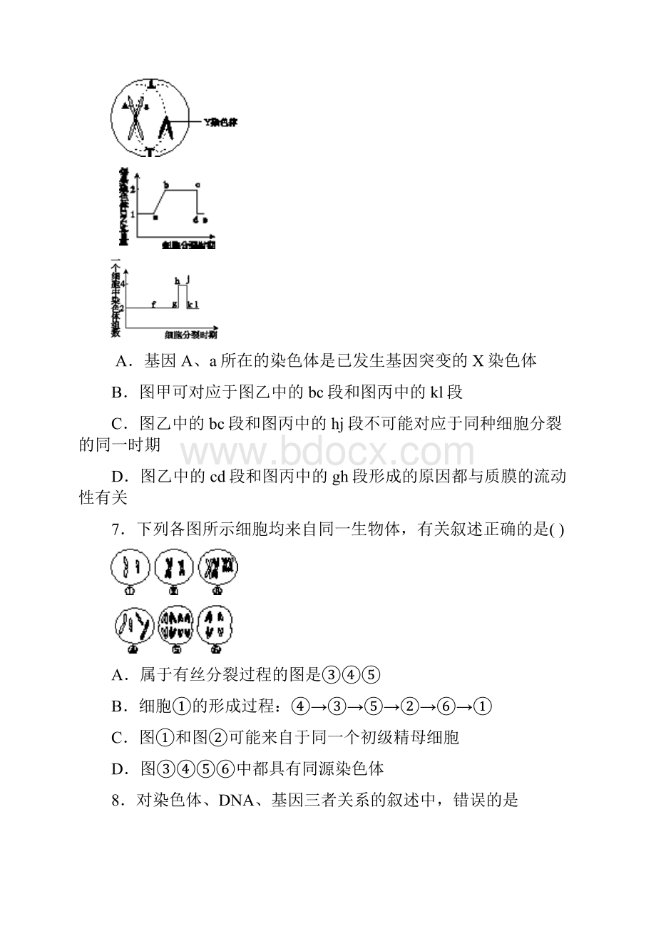 生物必修二第二章学生版本.docx_第3页