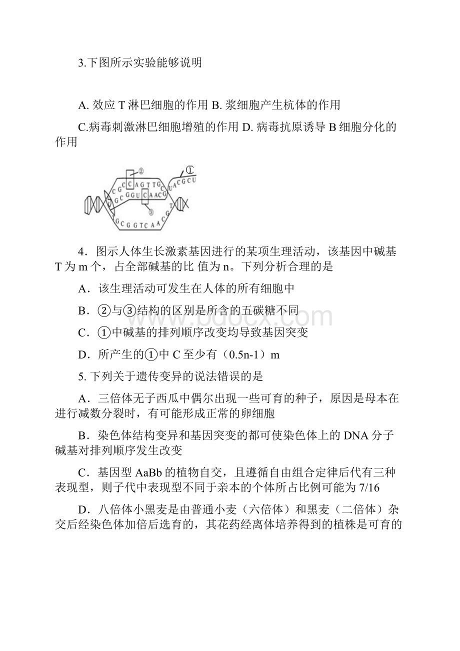 宁夏银川一中届高三第五次月考理科综合.docx_第2页