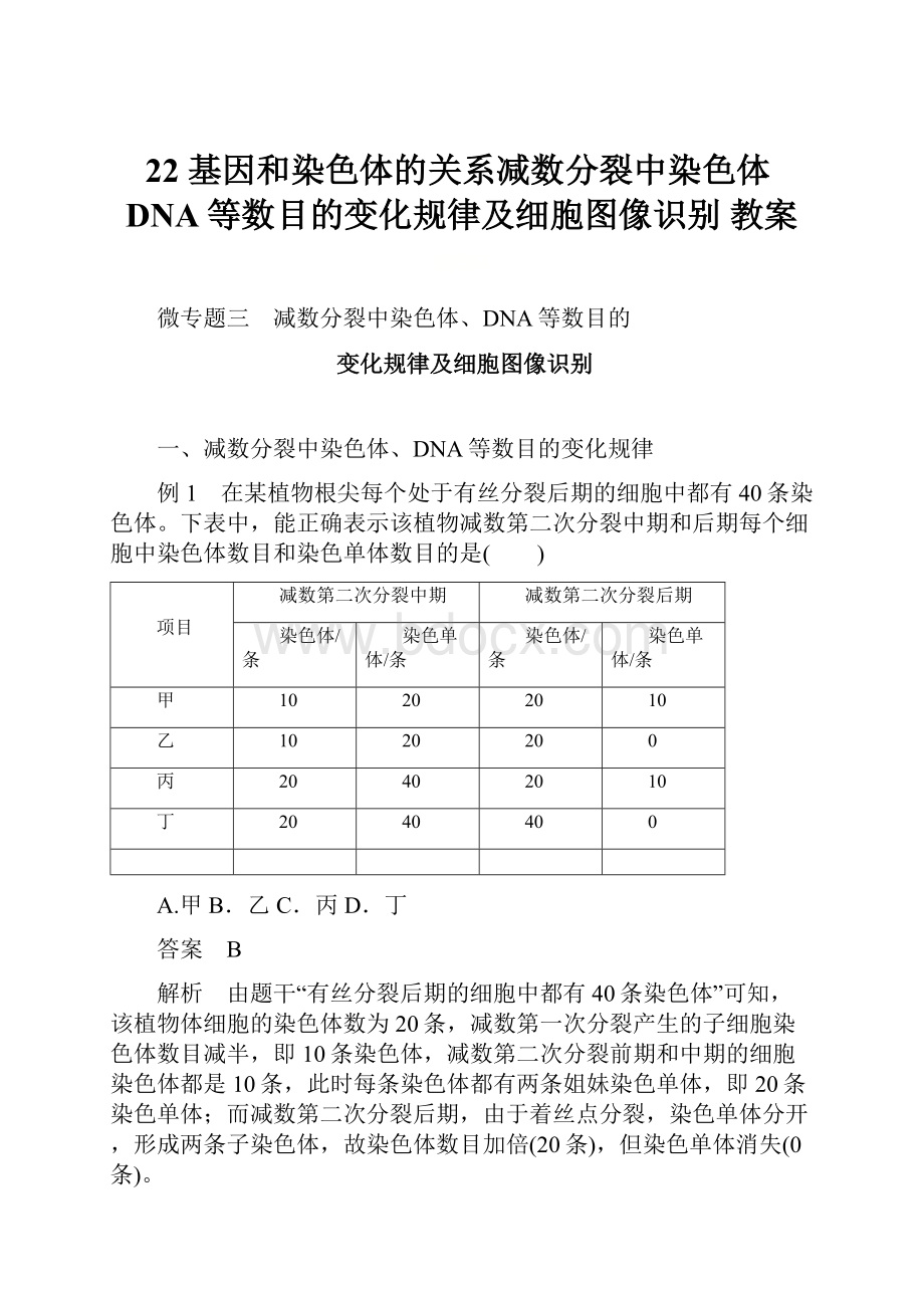 22 基因和染色体的关系减数分裂中染色体DNA等数目的变化规律及细胞图像识别 教案.docx