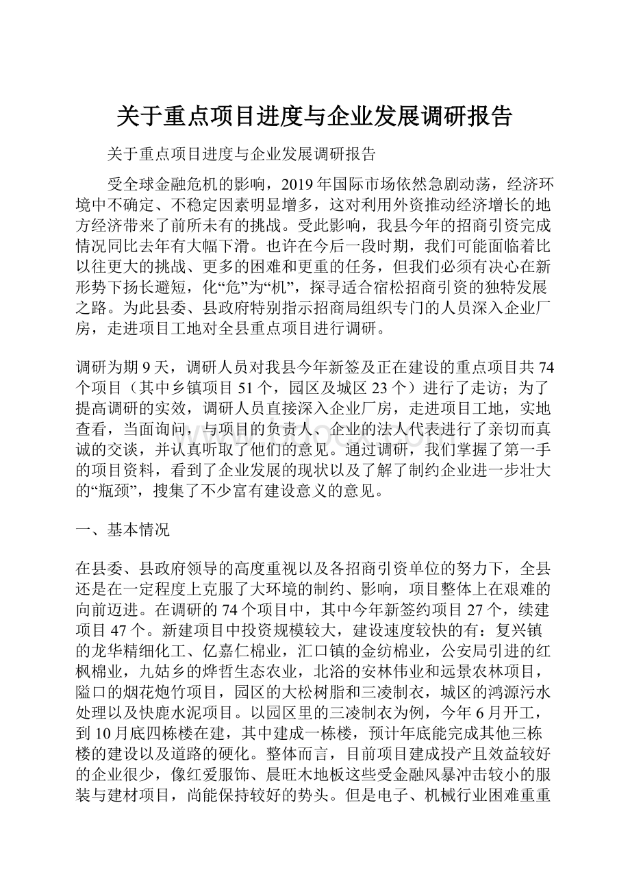 关于重点项目进度与企业发展调研报告.docx_第1页