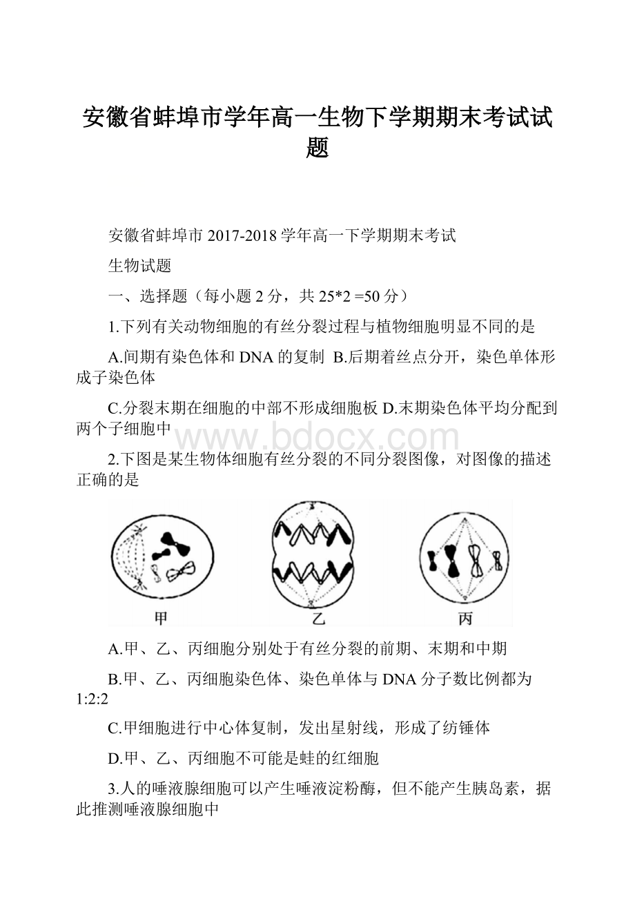 安徽省蚌埠市学年高一生物下学期期末考试试题.docx