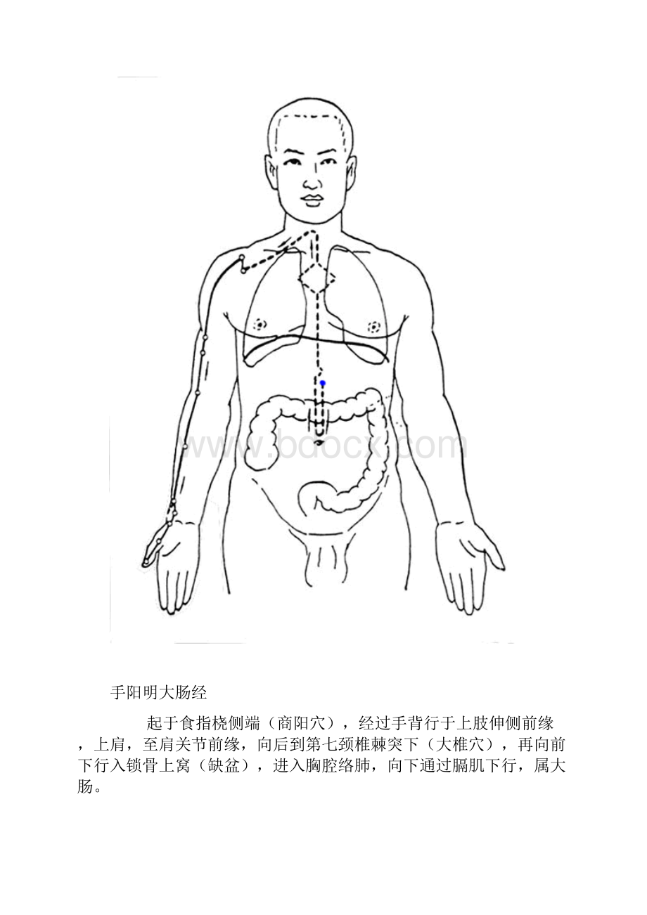 十二经脉走向图及与时辰的关系.docx_第3页