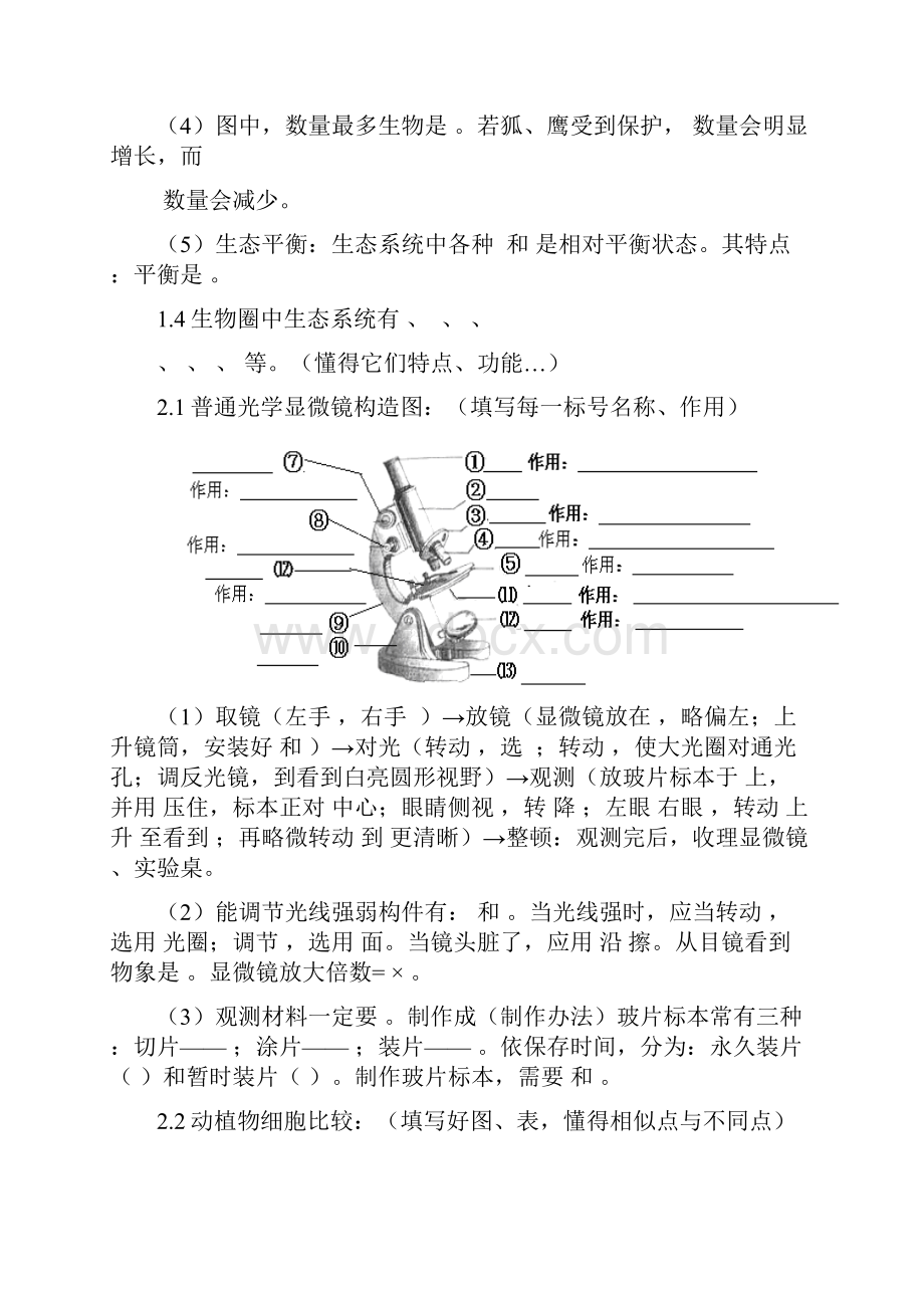 初中生物中考总复习重要知识点图表等人教版.docx_第3页