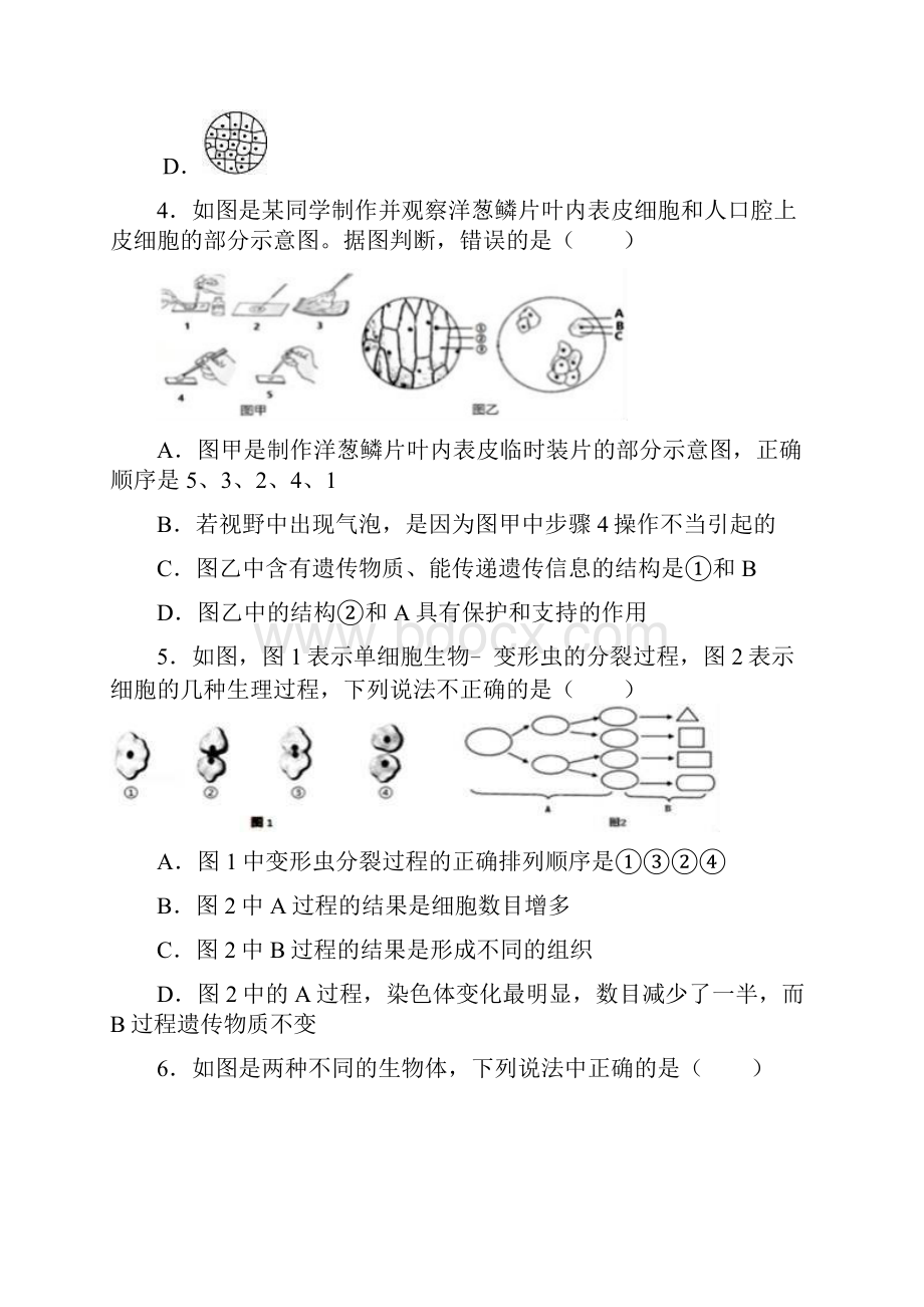 最新部编人教版生物《中考模拟检测试题》含答案解析.docx_第2页