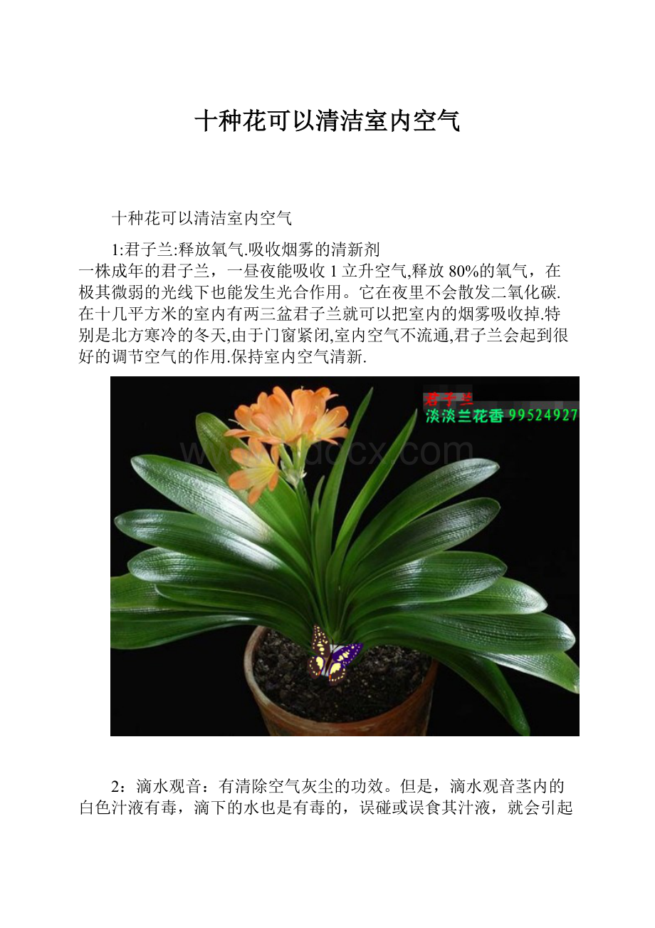 十种花可以清洁室内空气.docx_第1页