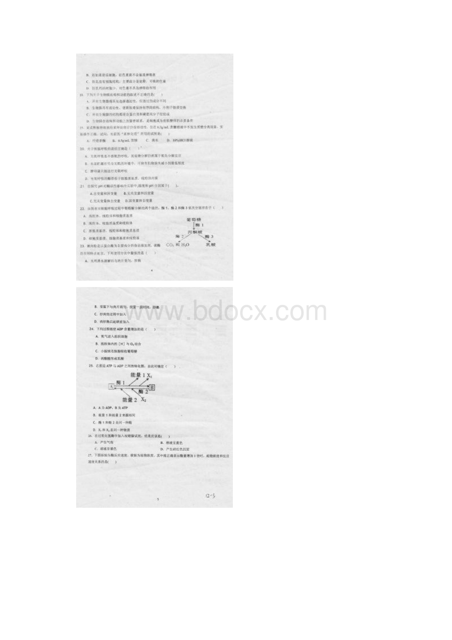 山东滨州市惠民县第二中学学年高一月考生物试题扫描版.docx_第3页