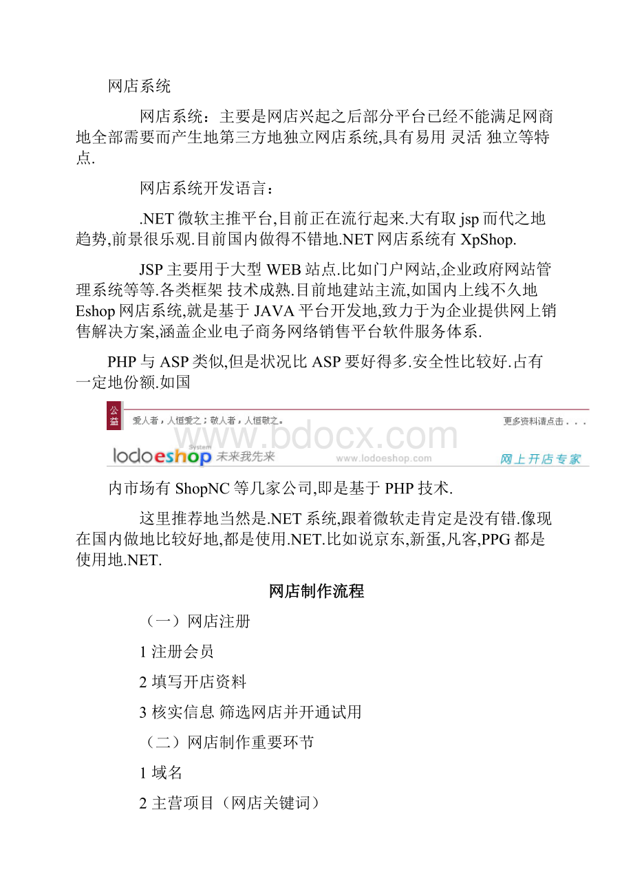 独立网店建设装修及推广.docx_第3页