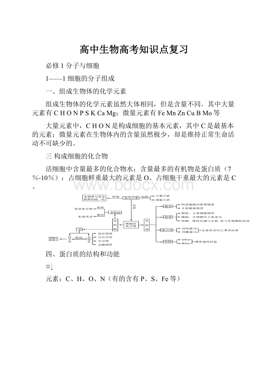 高中生物高考知识点复习.docx_第1页