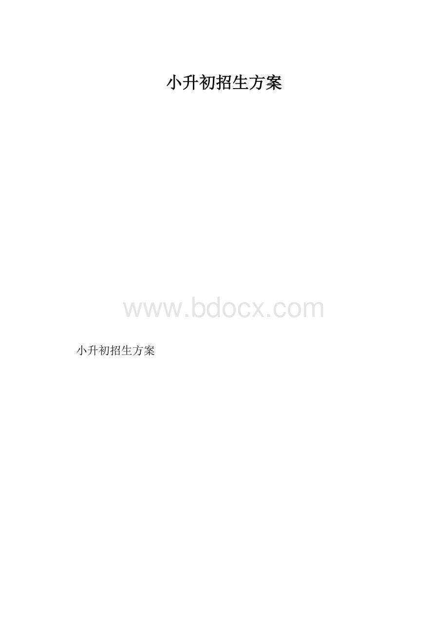 小升初招生方案.docx