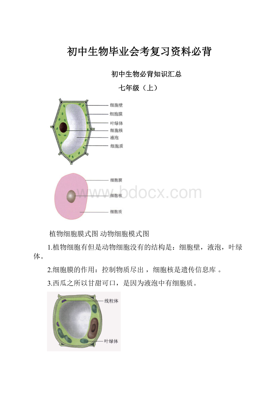 初中生物毕业会考复习资料必背.docx