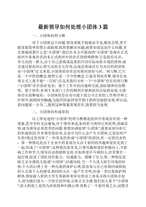 最新领导如何处理小团体3篇.docx