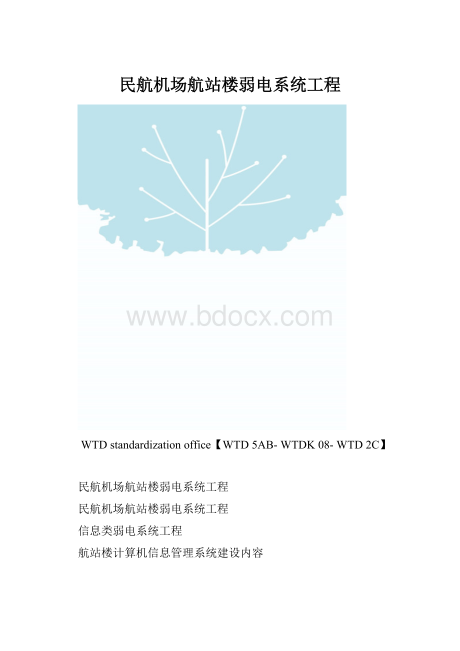 民航机场航站楼弱电系统工程.docx