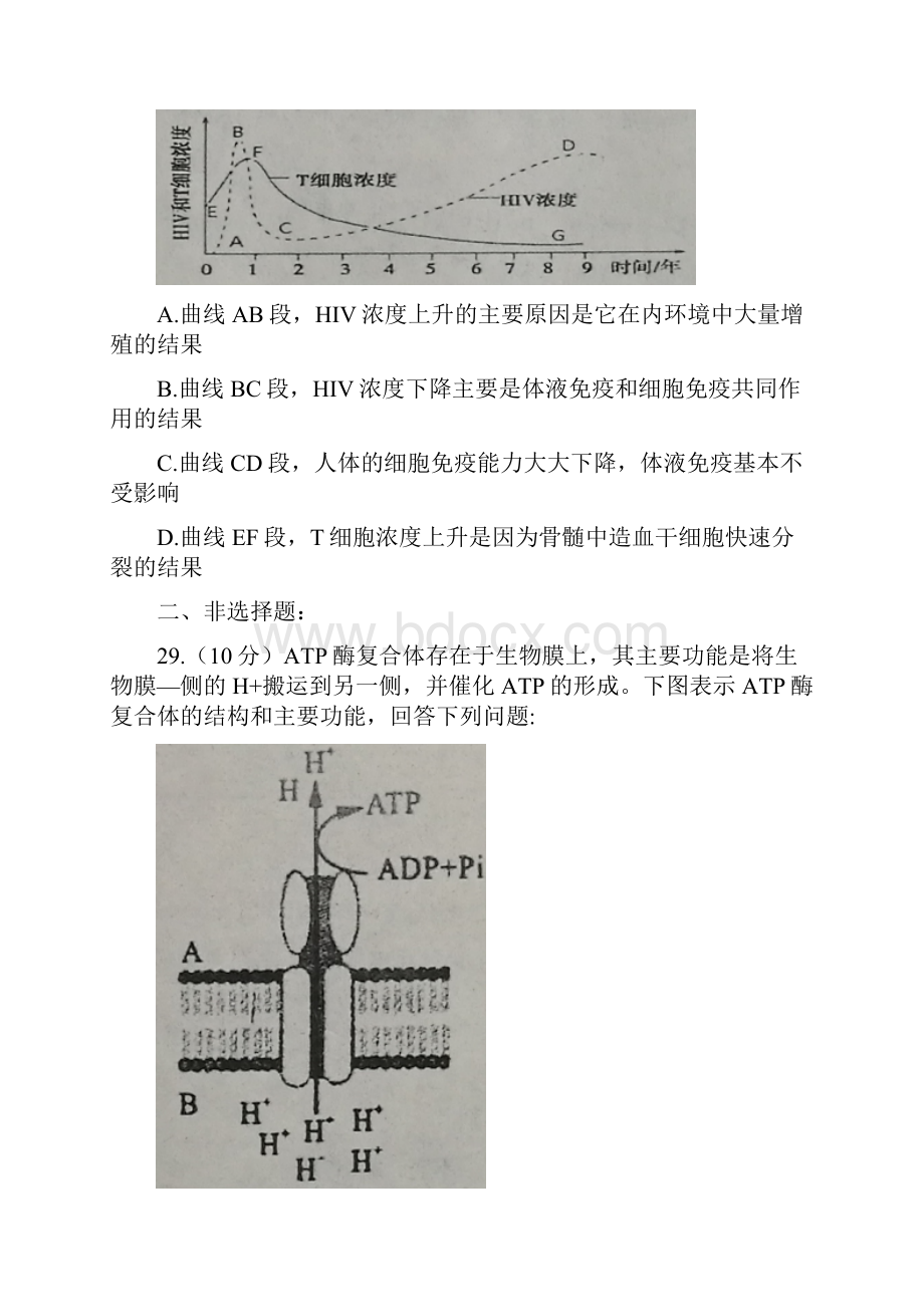 宁夏吴忠中学届高三第三次模拟考试理科综合生物试题含答案.docx_第3页