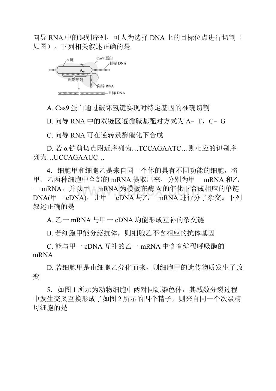 河南省商丘市第一高级中学学年高二上学期期末考试生物试题+Word版含答案.docx_第2页