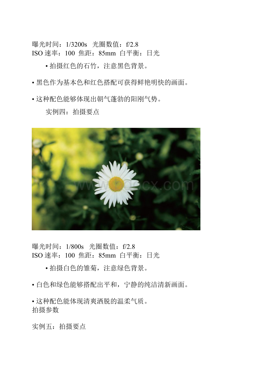 实例讲解 如何拍摄好以花卉为主题的作品.docx_第3页