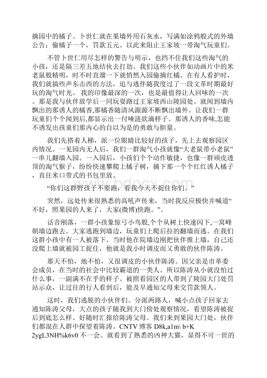 万州往事系列之红橘熟了的季节.docx_第2页