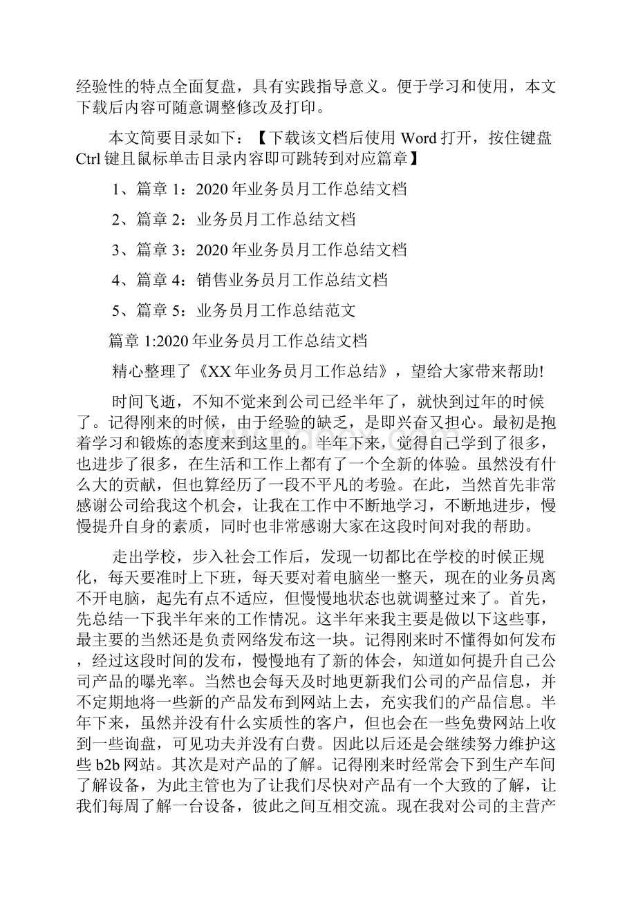 业务员月工作总结文档5篇.docx_第2页