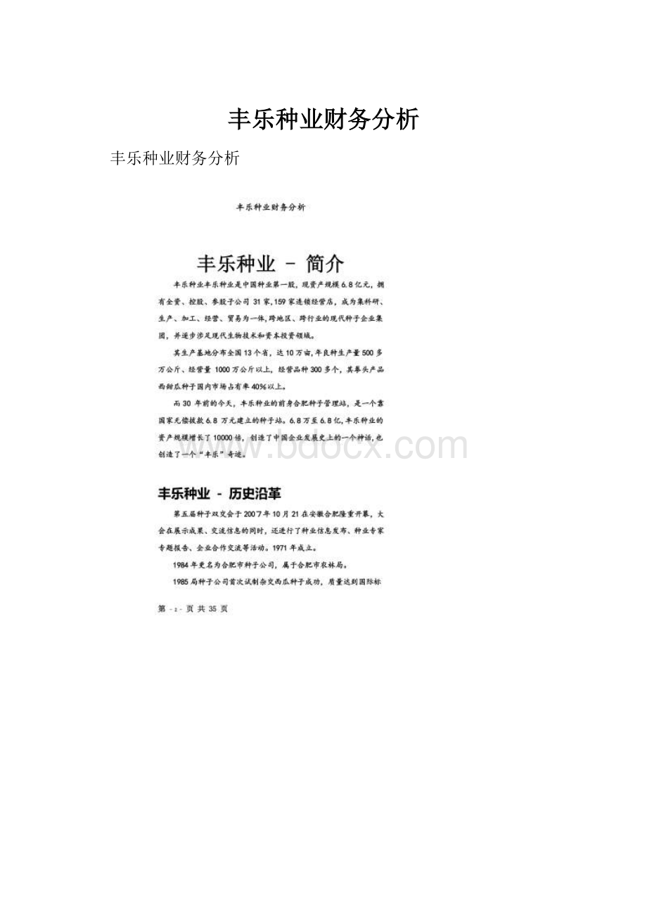 丰乐种业财务分析.docx