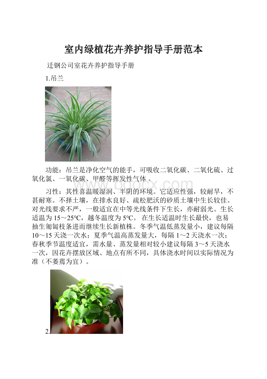 室内绿植花卉养护指导手册范本.docx