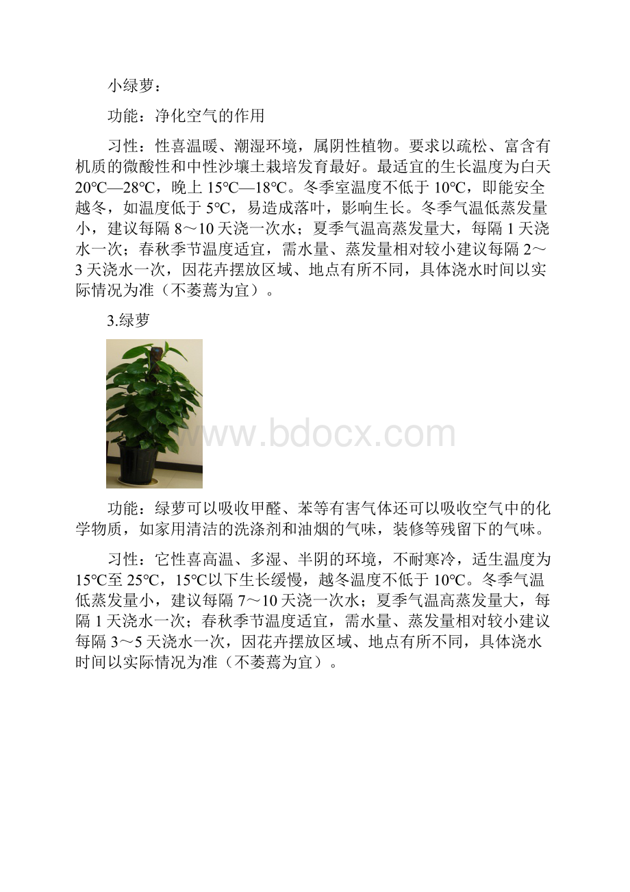 室内绿植花卉养护指导手册范本.docx_第2页