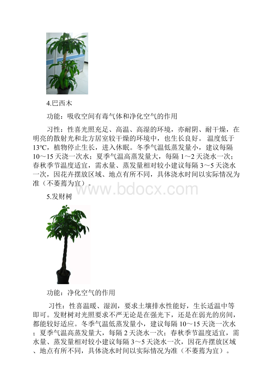 室内绿植花卉养护指导手册范本.docx_第3页