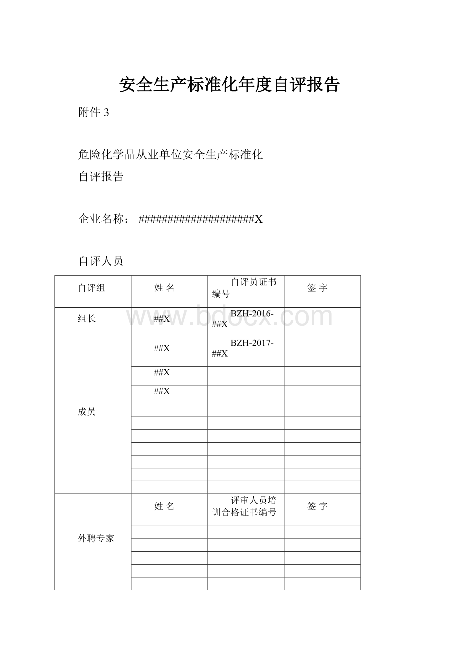 安全生产标准化年度自评报告.docx_第1页