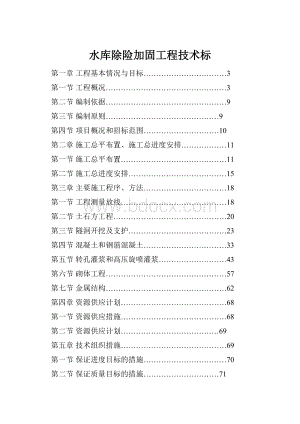 水库除险加固工程技术标.docx