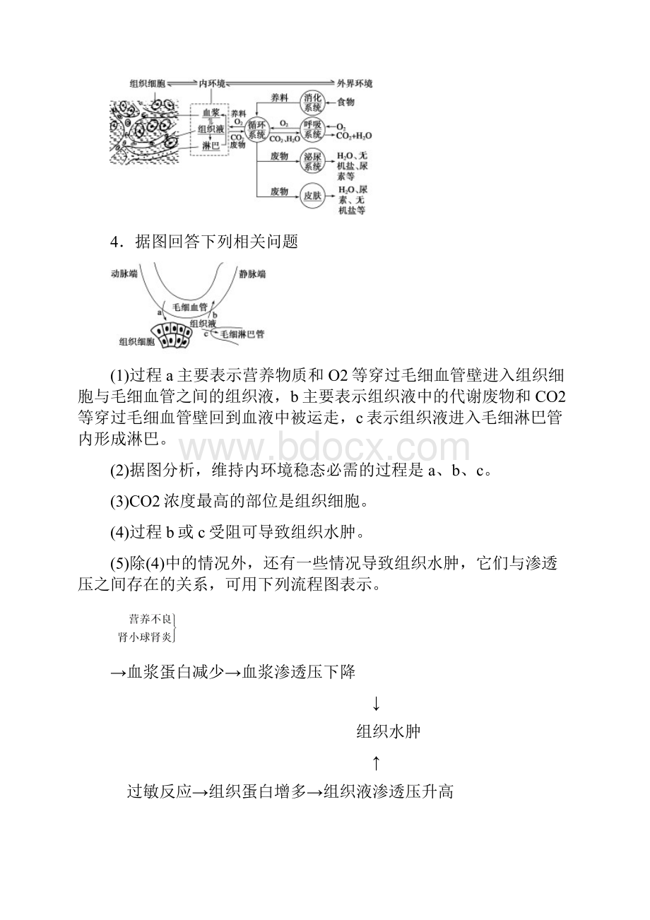 届高考生物一轮总复习精品讲义 第25讲 人体的内环境与稳态 新人教版.docx_第3页