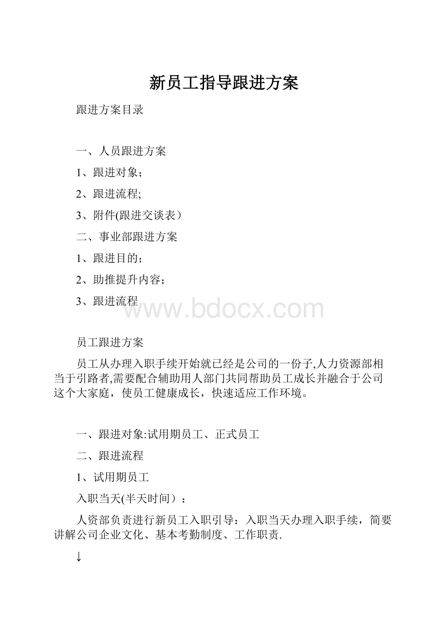 新员工指导跟进方案.docx