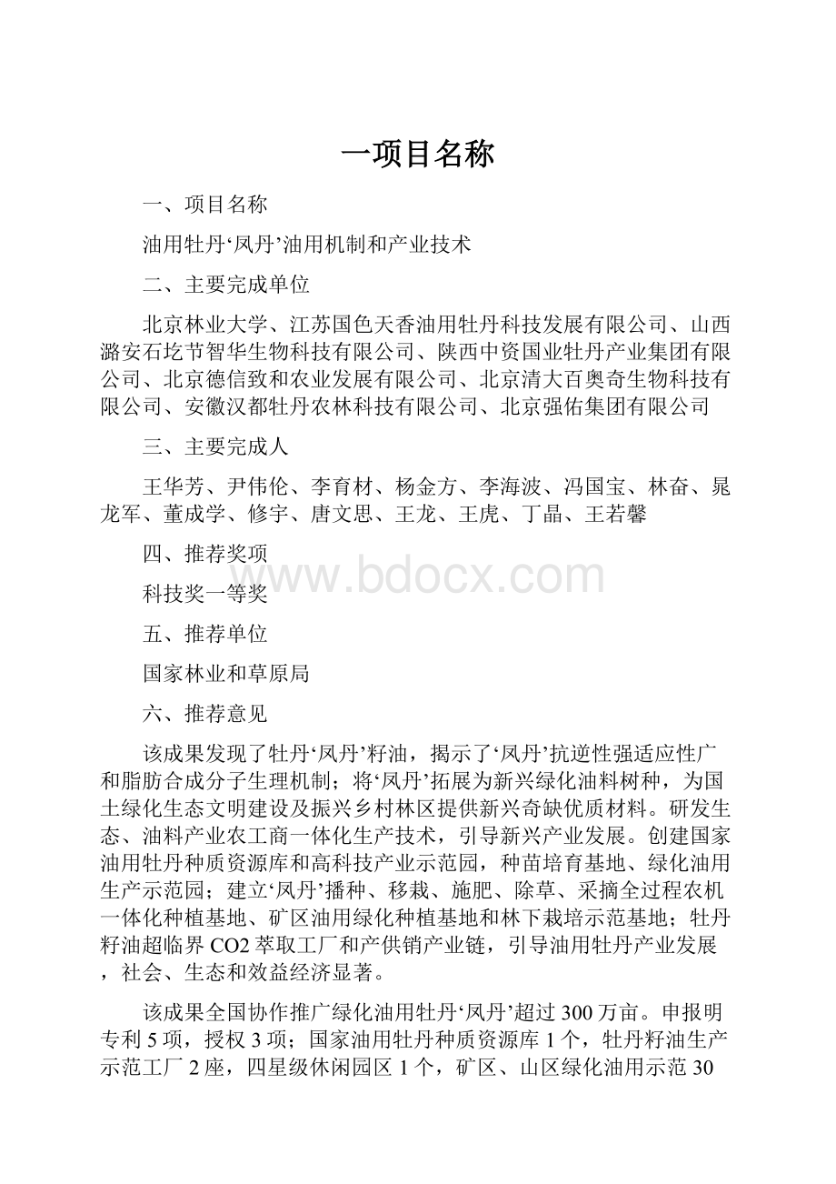 一项目名称.docx_第1页