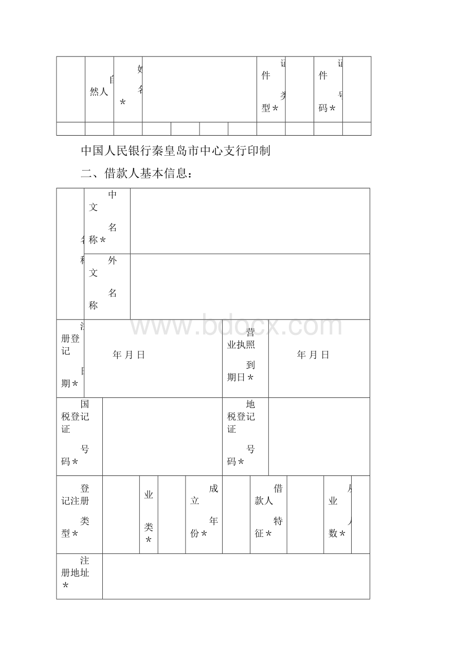 贷款卡编码申请书双面打印后填写.docx_第2页