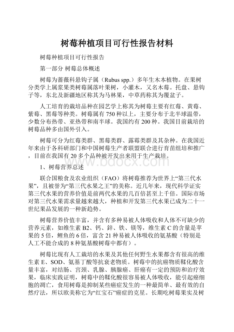 树莓种植项目可行性报告材料.docx