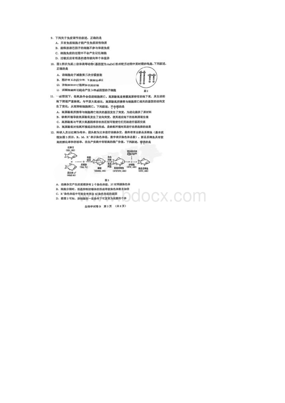 广东省广州市届高三二模生物试题含答案解析.docx_第3页