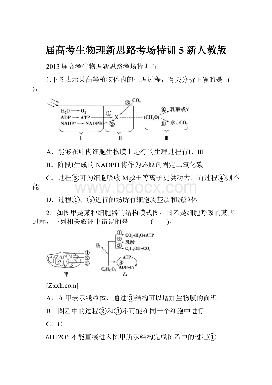 届高考生物理新思路考场特训5 新人教版.docx