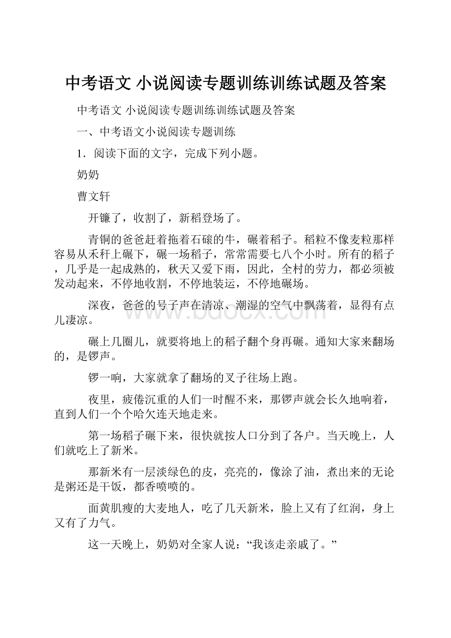 中考语文 小说阅读专题训练训练试题及答案.docx