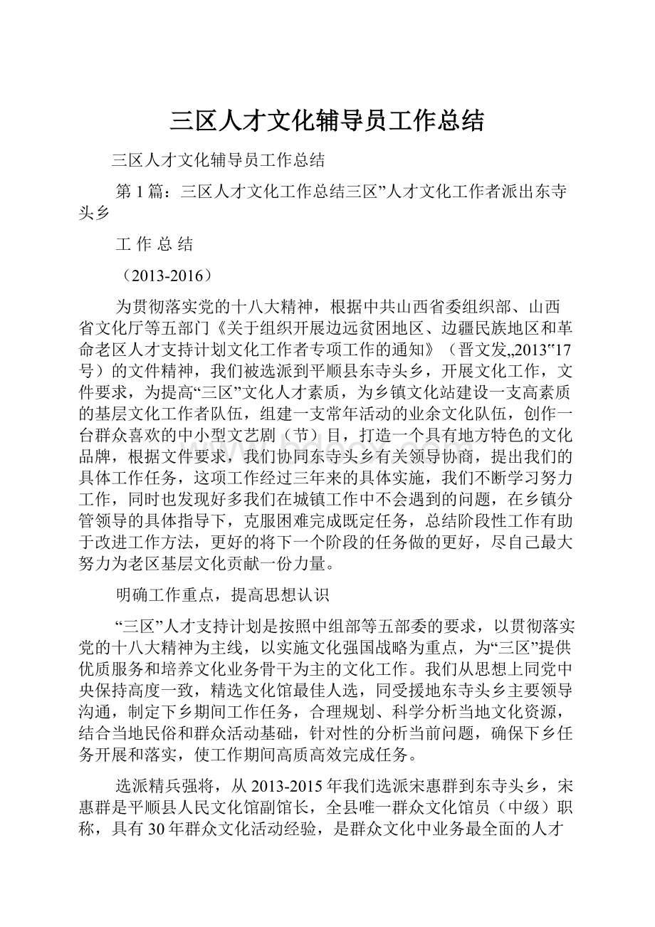 三区人才文化辅导员工作总结.docx