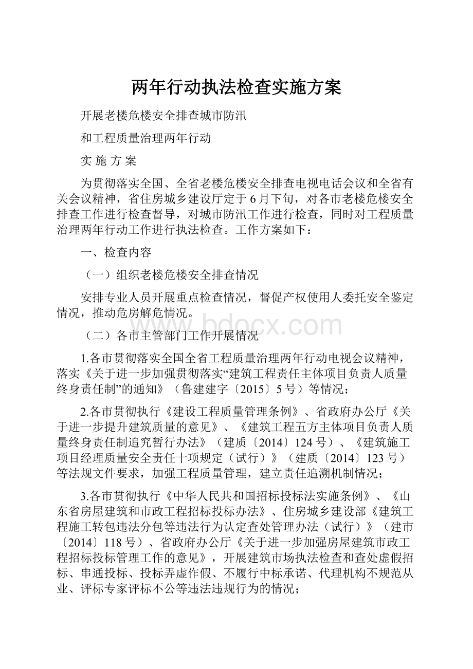 两年行动执法检查实施方案.docx