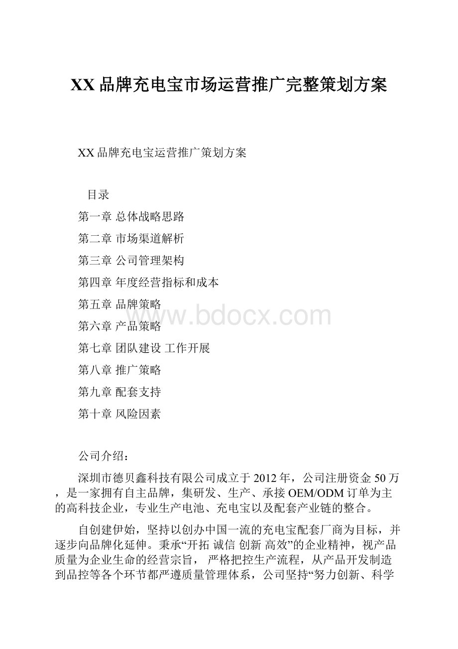 XX品牌充电宝市场运营推广完整策划方案.docx_第1页