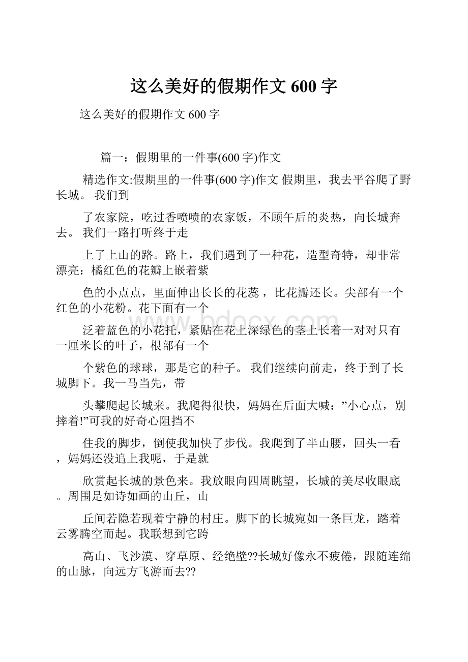 这么美好的假期作文600字.docx