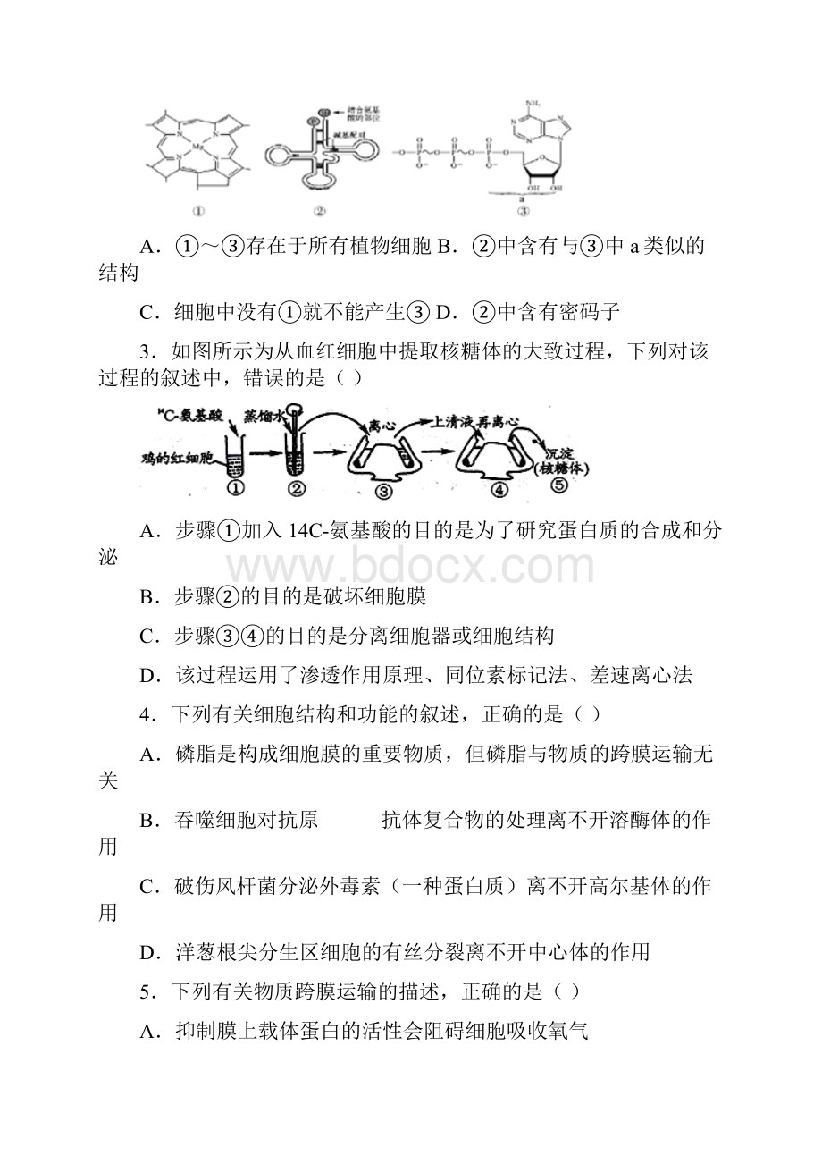 理科综合能力测试试题.docx_第2页