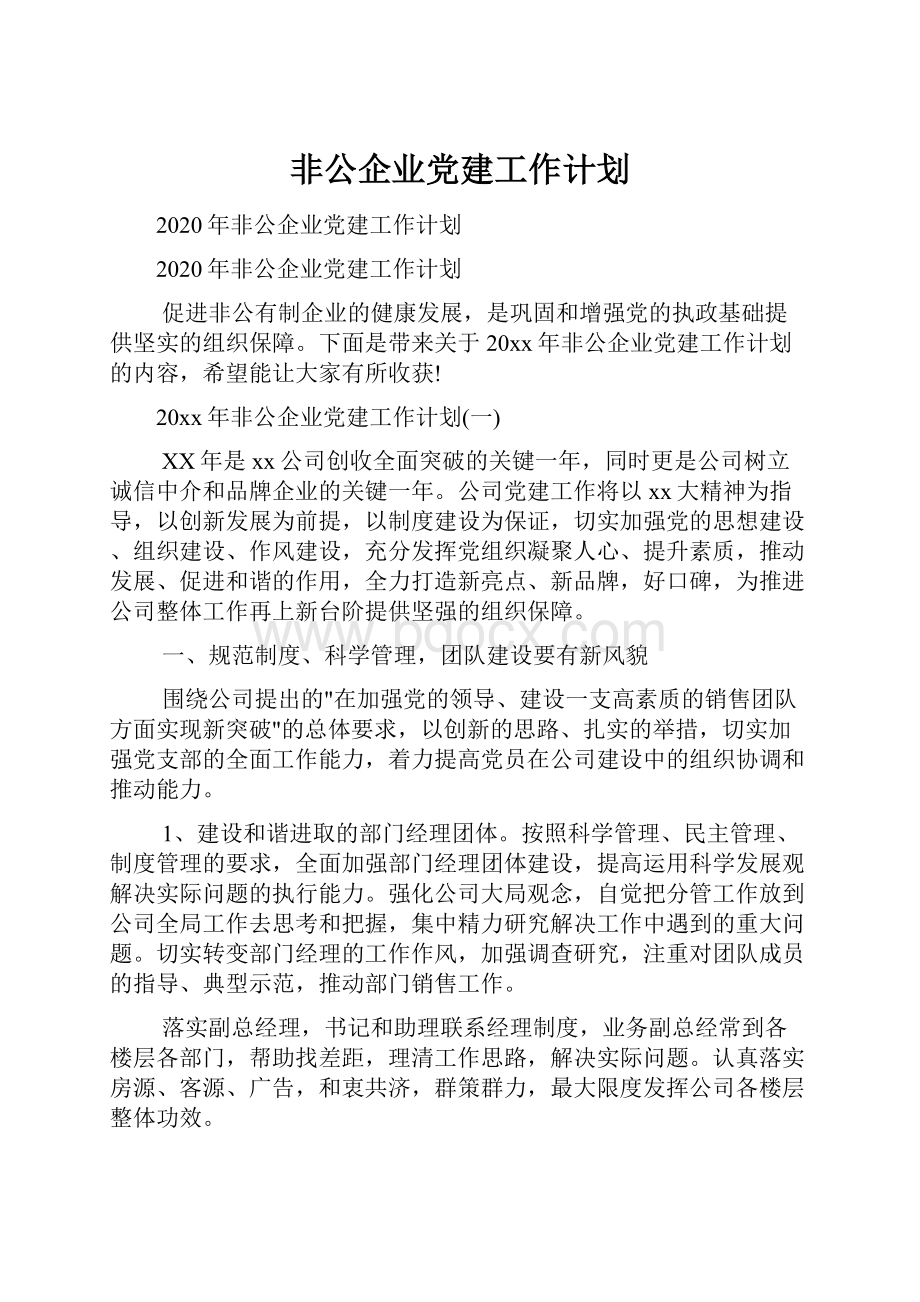 非公企业党建工作计划.docx