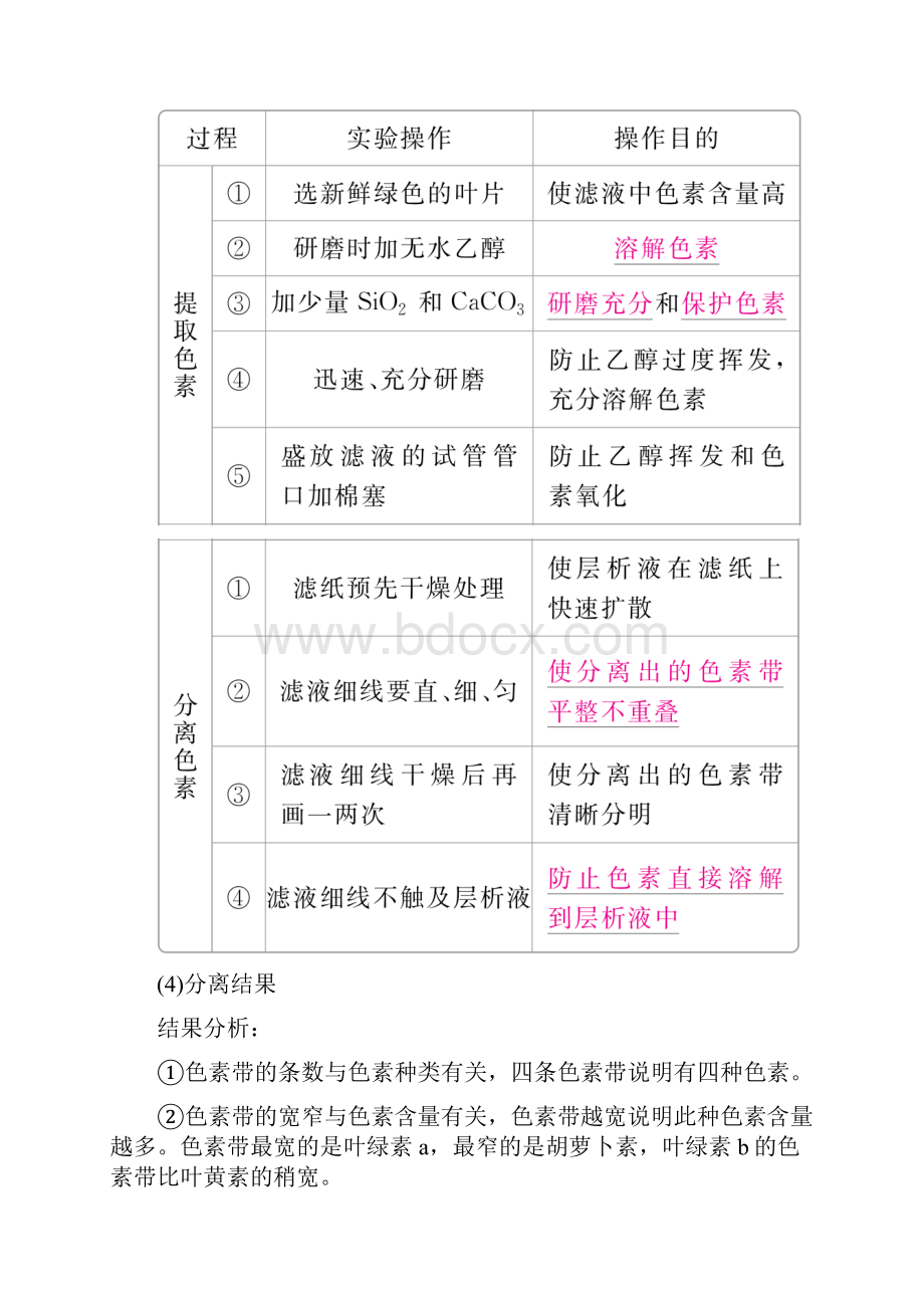 全国版版高考生物一轮复习第10讲光合作用的探究历程与基本过程培优学案.docx_第3页