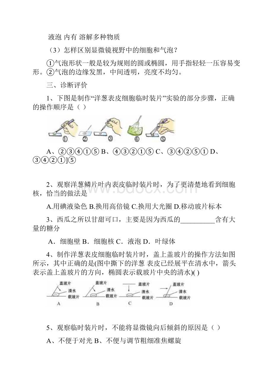 山东省泰安市七年级生物上册212植物细胞学案.docx_第3页