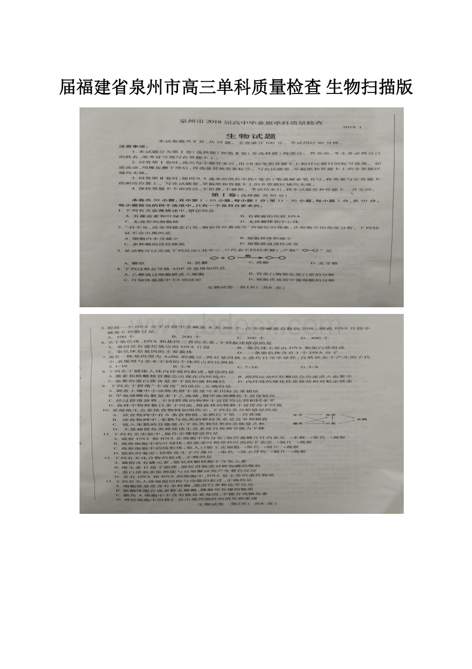 届福建省泉州市高三单科质量检查 生物扫描版.docx